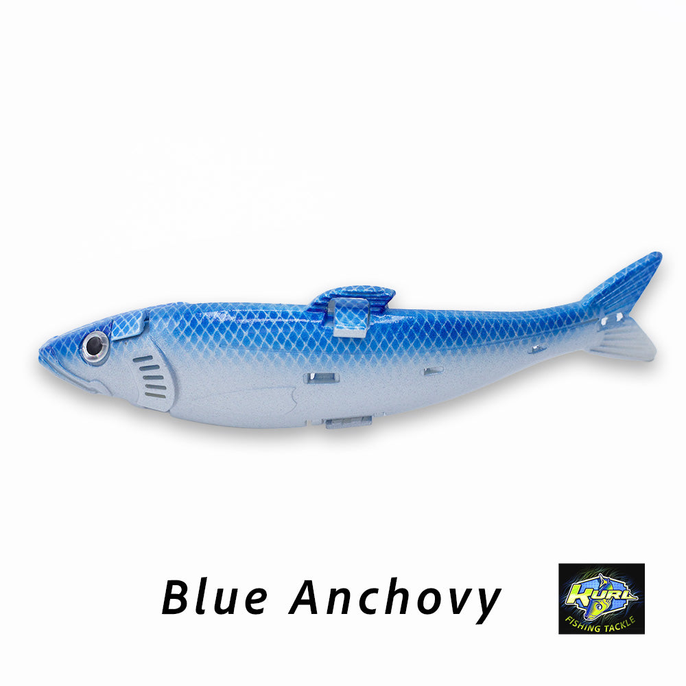 Blue Anchovy 6"